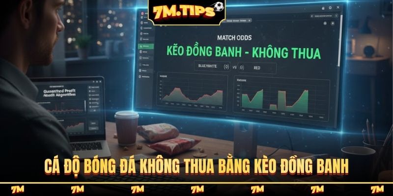 Cá độ bóng đá không thua bằng kèo đồng banh