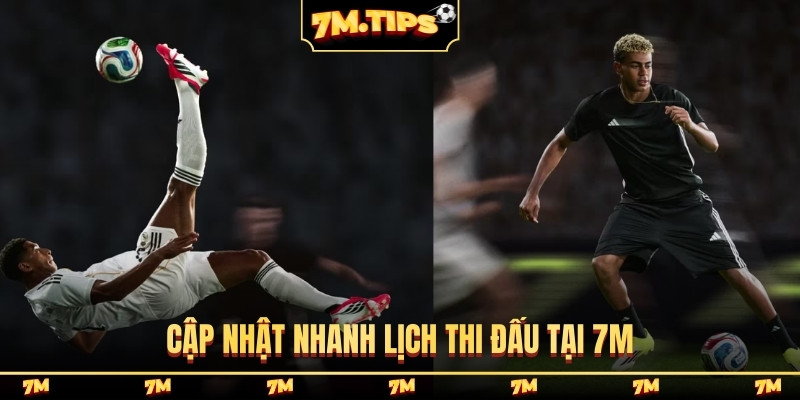 Cập nhật nhanh lịch thi đấu tại 7M
