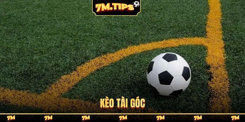 kèo tài góc