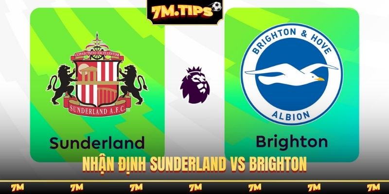 Nhận định Sunderland vs Brighton, 22h00 14/3, Ngoại hạng Anh